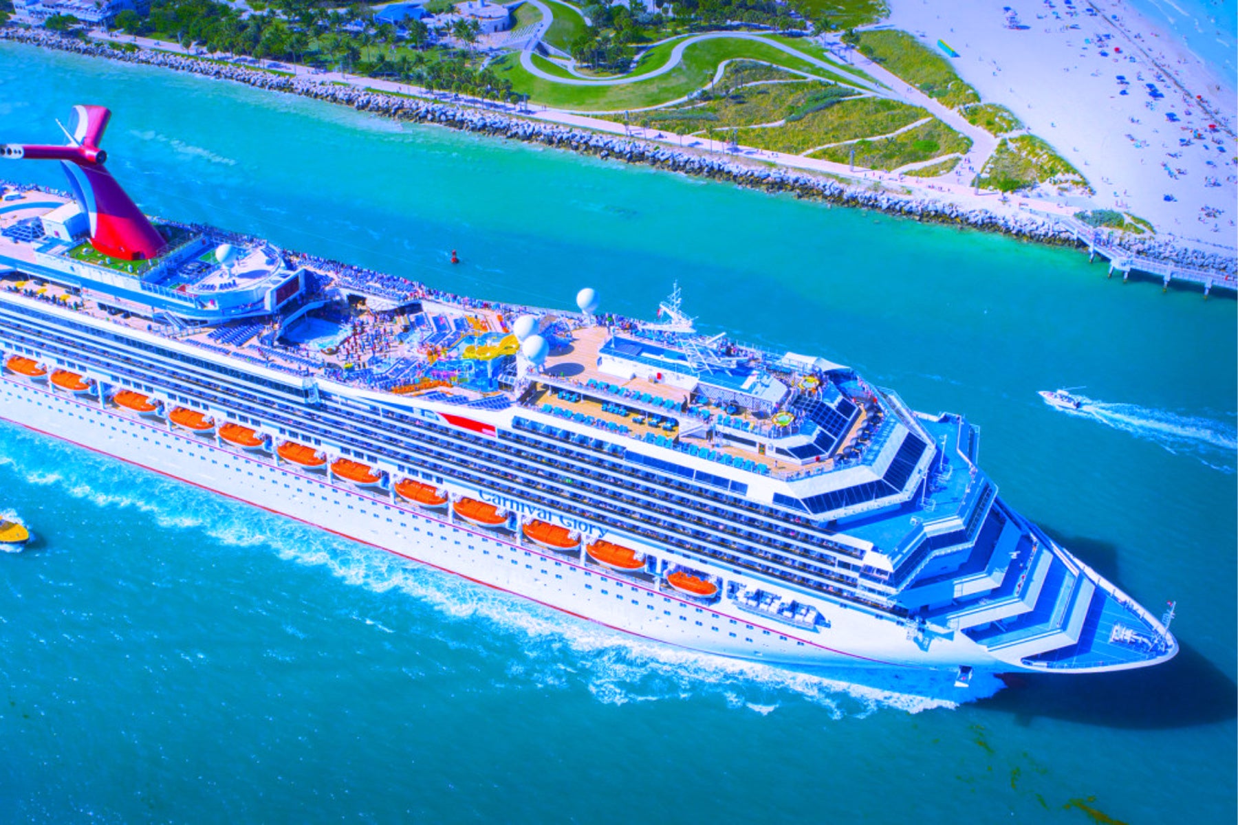 Carnival Home™️ Collection Carnival Home by Carnival Corporation